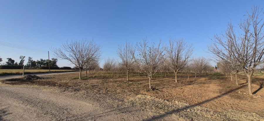 Commercial Property for Sale in Douglas Northern Cape
